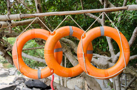 Lifebuoy,lifebelt or swim ring hanging on tree near the waterfallの写真素材