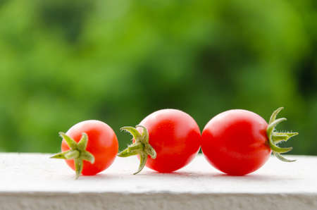 Fresh tomatoes on green backgroundの写真素材