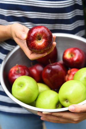 Apple fruit holding by hand