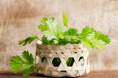 Coriander leaves in bamboo basket on wooden backgroundの写真素材