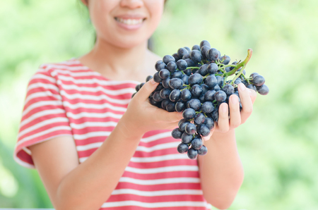 Woman holding red grape in hand,Grape harvest,Healthy fruitの写真素材
