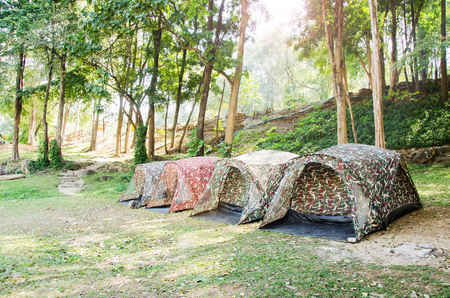 Tent camping in National park,Thailandの写真素材