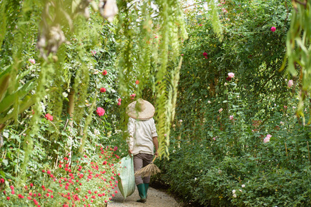 The gardener is working in the flower gardenの写真素材