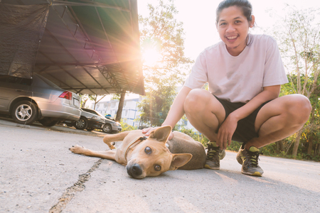 Man playing with dogの写真素材