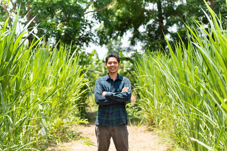 Young Asian farmer standing in Napier grass fieldの写真素材