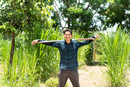 Young Asian farmer carry hoe in a Napier grass field