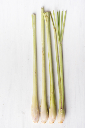 Fresh lemongrass on white table, herb and spice, Thai food ingredientの写真素材
