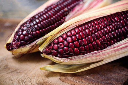 Fresh purple sweet corn on wooden backgroundの写真素材