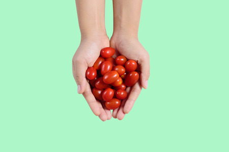 Fresh cherry tomatoes holding by hand isolated on green backgroundの写真素材