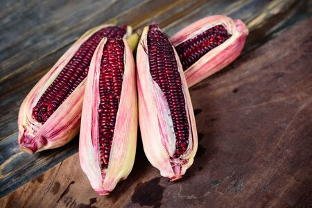 Fresh purple corn on wooden backgroundの写真素材