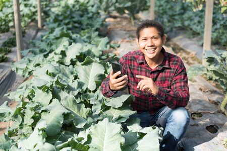 Asian farmer using smartphone in organic vegetable garden
