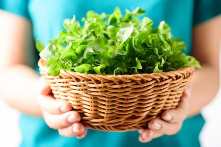 Woman hands holding basket of fresh watercressの写真素材
