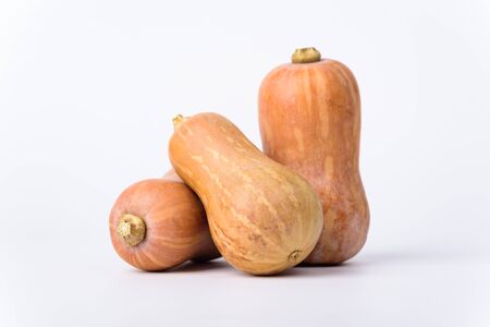 Fresh butternut squash on white backgroundの写真素材