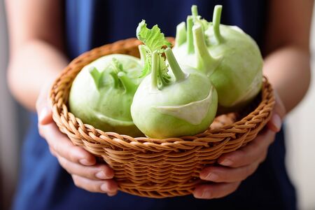 Fresh kohlrabi in basket holding by handの写真素材