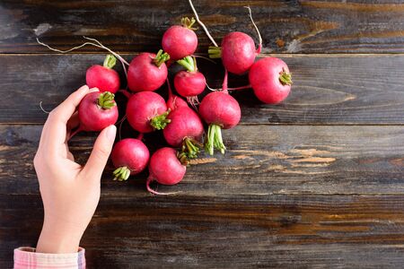 Fresh radishes with hand on wooden background, organic vegetablesの写真素材