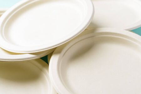 Biodegradable plate, Compostable plate or Eco friendly disposable plate