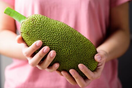 Young jackfruit holding by hand preparing for Asian food cooking, tropical fruit