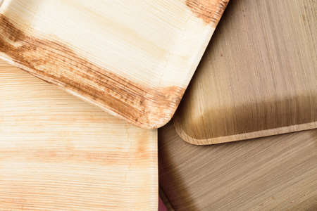 Betel palm leaf plate (Biodegradable plate, Compostable plate or Eco friendly disposable plate)の写真素材