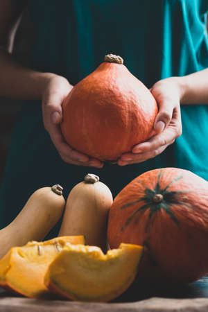 Hand harvesting orange pumpkin and butternut squash in Autumn season