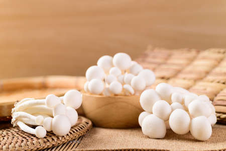 Fresh white Shimeji mushroom, Asian mushroom