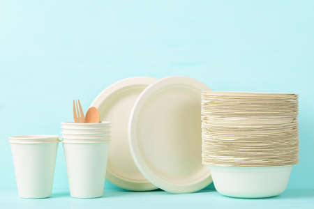 Biodegradable, Compostable, Disposable or Eco friendly utensil (plate, dish, bowl, cup) on pastel color background, Sustainable conceptの写真素材