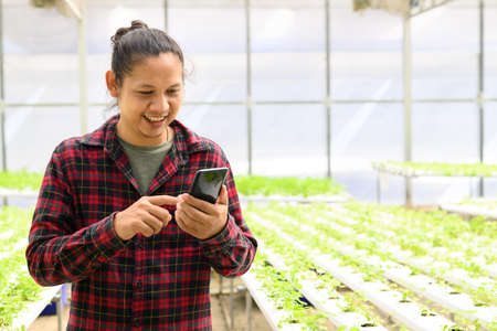 Young man Asian farmer using smartphone in hydroponic vegetable farmの写真素材