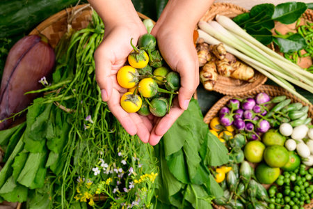 Fresh organic Asian spices and vegetables from local farmer market, Northern Thailandの写真素材