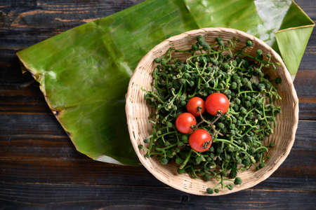 Broussonetia Kurzii and tomatoes in a basket, Fresh vegetables ingredients in Northern Thai food, Seasonal Foodの写真素材