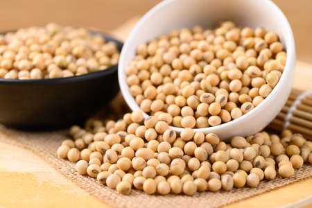 Soybean seeds in a bowl on wooden backgroundの写真素材
