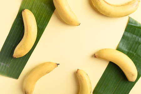Ripe banana fruit with leaf on yellow background, Tropical fruitの写真素材