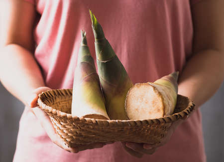 Fresh bamboo shoot in a basket holding by woman  hand, Edible vegetable in Asian cuisineの写真素材