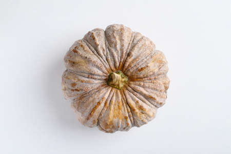 Close up of organic pumpkin on white backgroundの写真素材