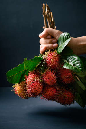 Ripe rambutan fruit holding by hand, Rambutan is tropical fruit and native Southeast Asia, juicy and sweet tasteの写真素材