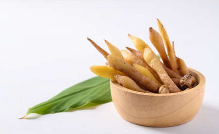 Fresh Kaempferia or fingerroot, Organic herbal plant phytochemical and medicinal properties, Food...