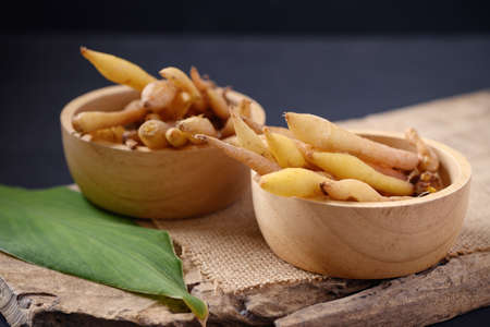 Fresh Kaempferia or fingerroot, Organic herbal plant phytochemical and medicinal properties, Food...