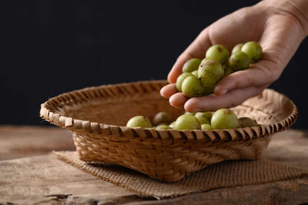 Wild Indian gooseberry or amla in a bamboo basket with hand on wooden, Fruit tree in Asia use in various cuisine, herbal medicine and rich vitamin Cの写真素材