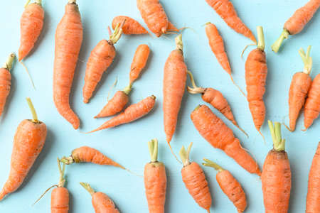 Organic carrots on light blue background, imperfectly shape