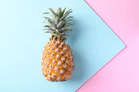 Fresh pineapple fruit on pastel color background, Tropical fruit
