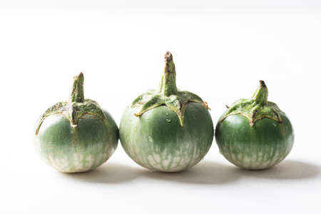 Organic Thai eggplant on white background, Food ingredients in Thai cuisine, Vegetables from local farmer marketの写真素材