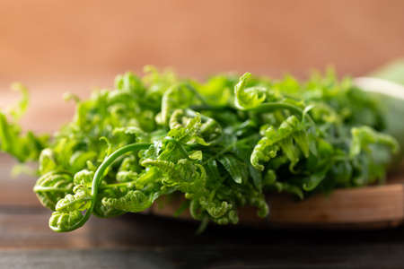 Asian Edible fern or fiddlehead fern from local farmer market, Healthy Leaf vegetable in spring seasonの写真素材