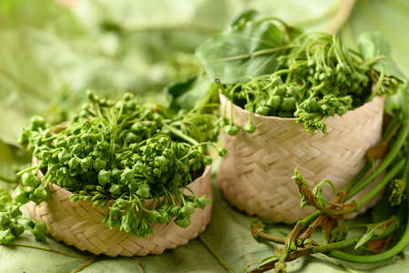 Dregea volubilis flower in bamboo basket, Edible flower from local farmer market in summer season,...