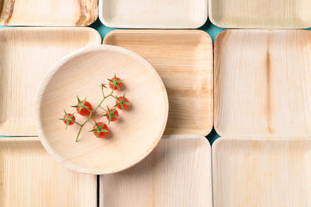Biodegradable plate made from betel palm, Eco friendly and sustainability conceptの写真素材