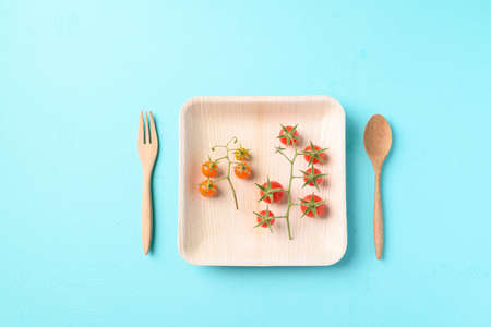 Biodegradable plate made from betel palm with wooden spoon and fork on color background, Eco friendly and sustainability conceptの写真素材