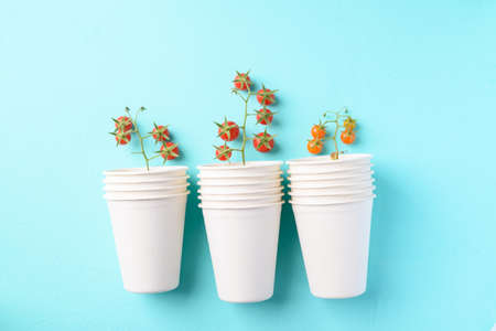 Biodegradable coffee cup made from natural fiber on color background, Eco friendly and sustainability conceptの写真素材
