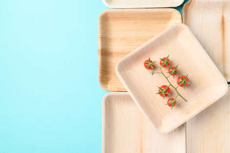 Biodegradable plate made from betel palm on color background with copy space, Eco friendly and sustainability conceptの写真素材