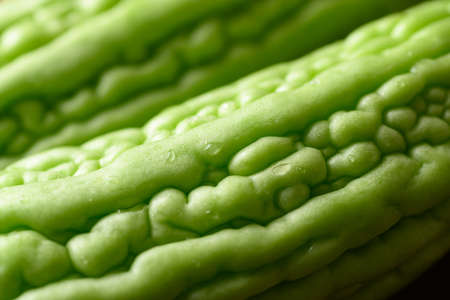 Close up of fresh bitter melon or bitter gourdの写真素材