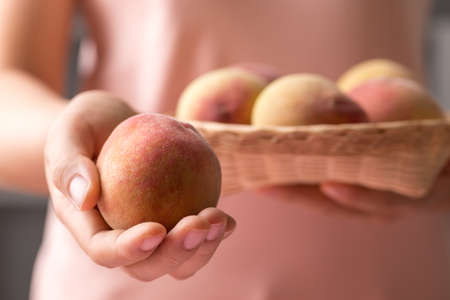 Peach fruit holding by woman handの写真素材