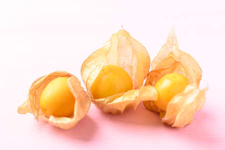Cape gooseberry or golden berry (Physalis peruviana) on pink background