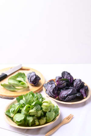 Cabbage sprout (Green and purple) on natural plate, Organic vegetableの写真素材
