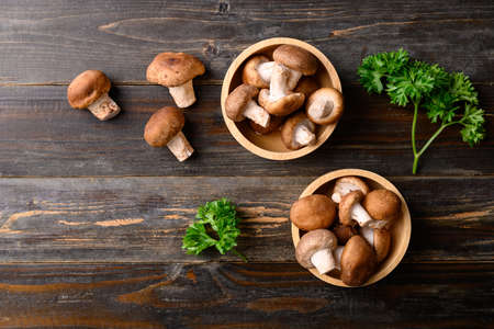 Fresh shiitake mushroom, edible mushroom and food ingredient in Asian cuisineの写真素材